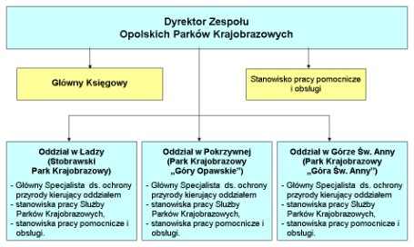 Struktura organizacyjna